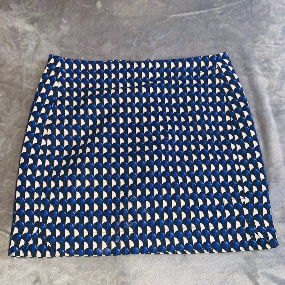 J Crew skirt001